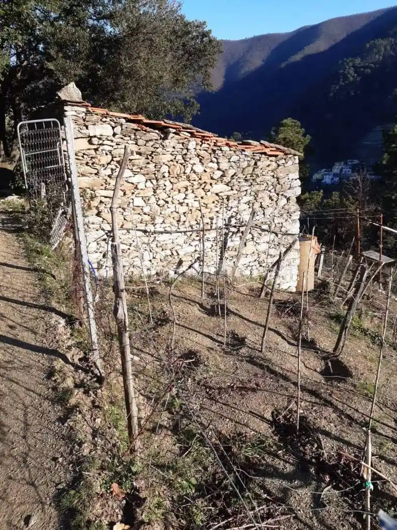 Rustico - Casale in vendita a Vernazza
