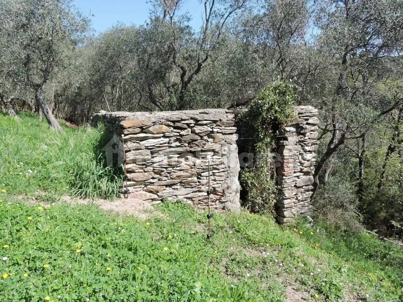 Rustico - Casale in vendita a Moneglia