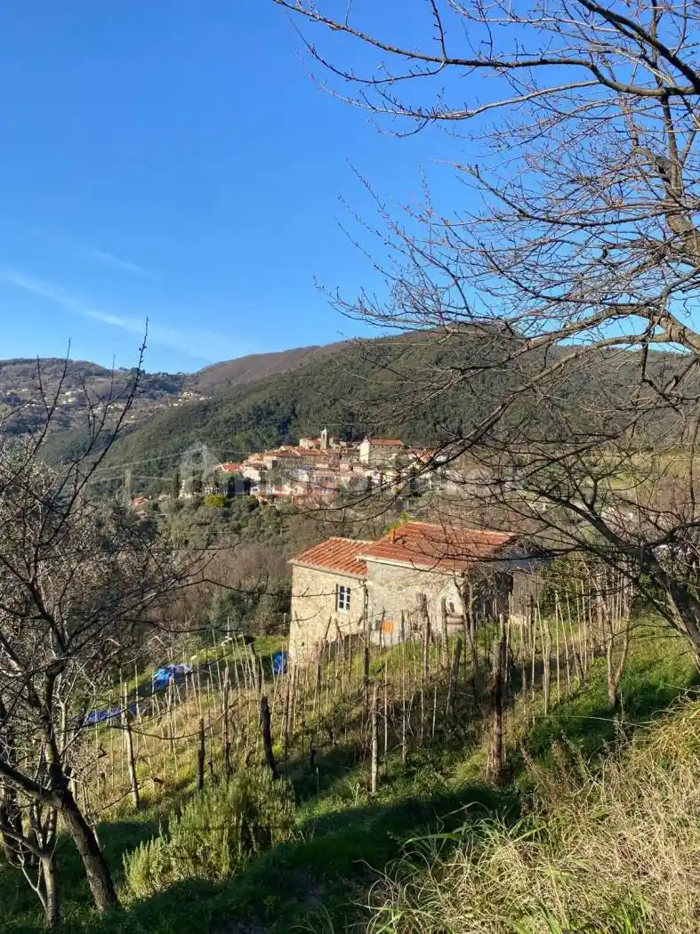 Rustico - Casale in vendita a Fosdinovo