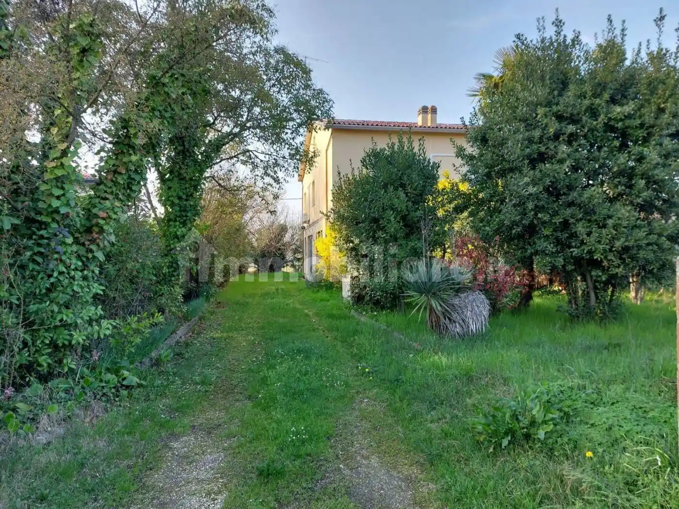 Villa in vendita a Fusignano