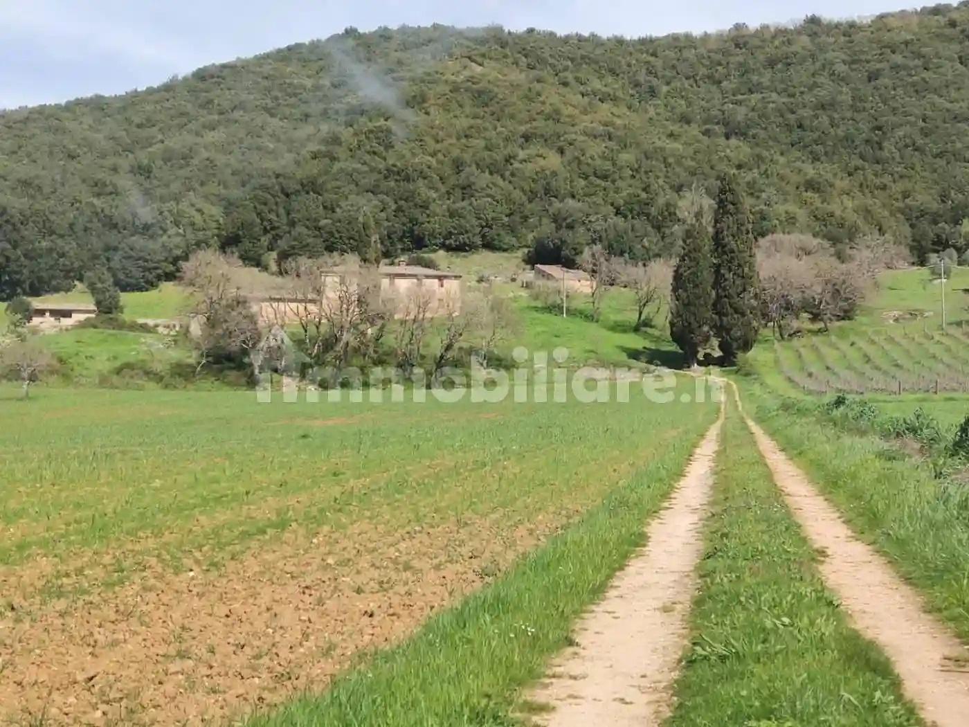 Rustico - Casale - foto 2