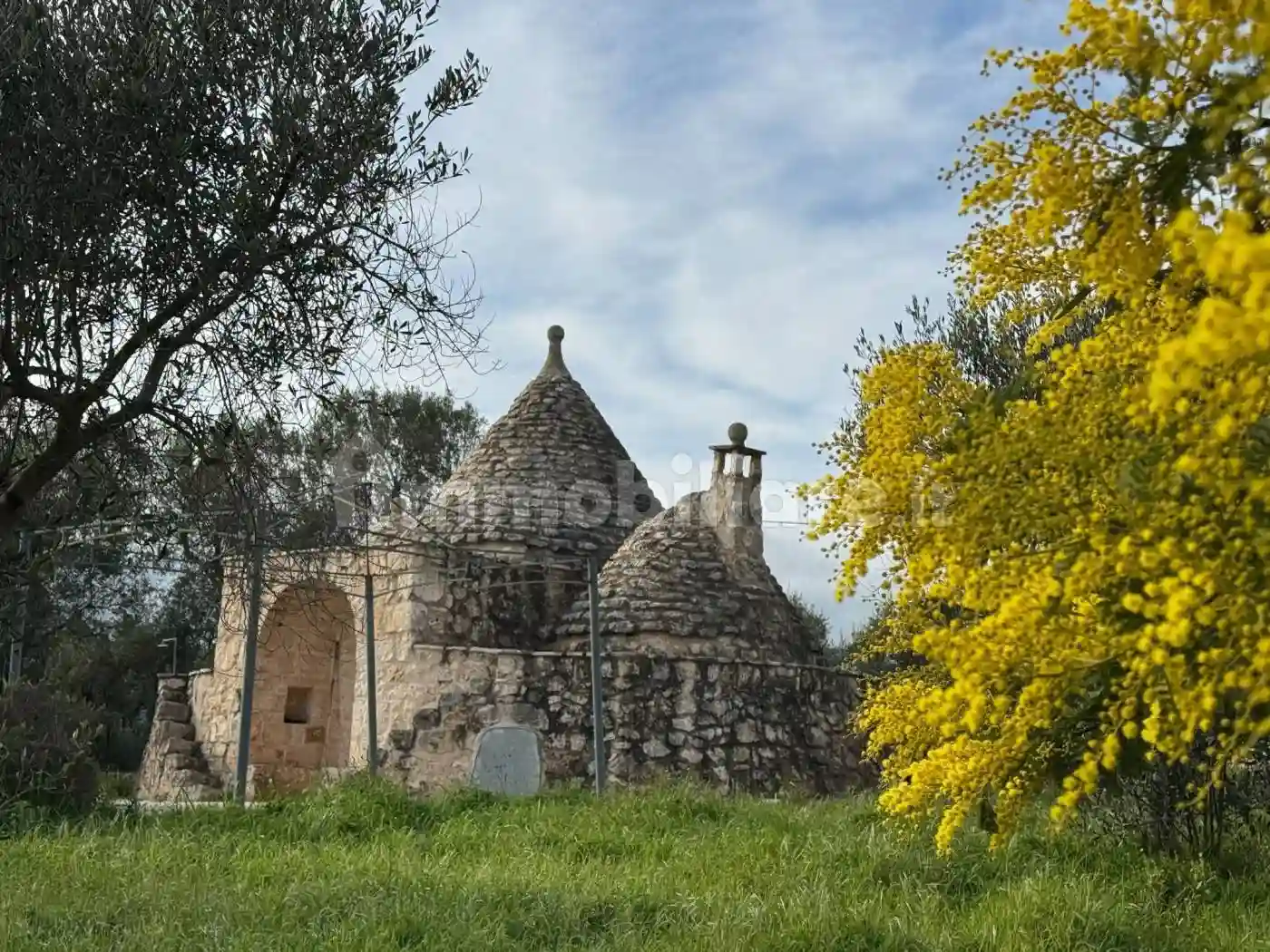 Rustico - Casale - foto 4