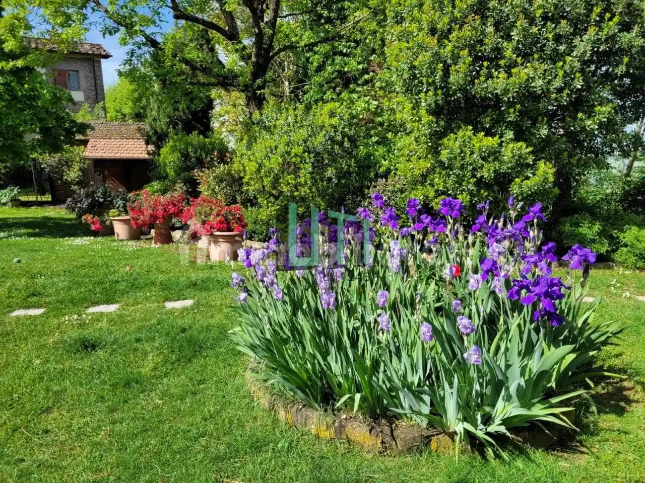 Rustico - Casale in vendita a Reggello