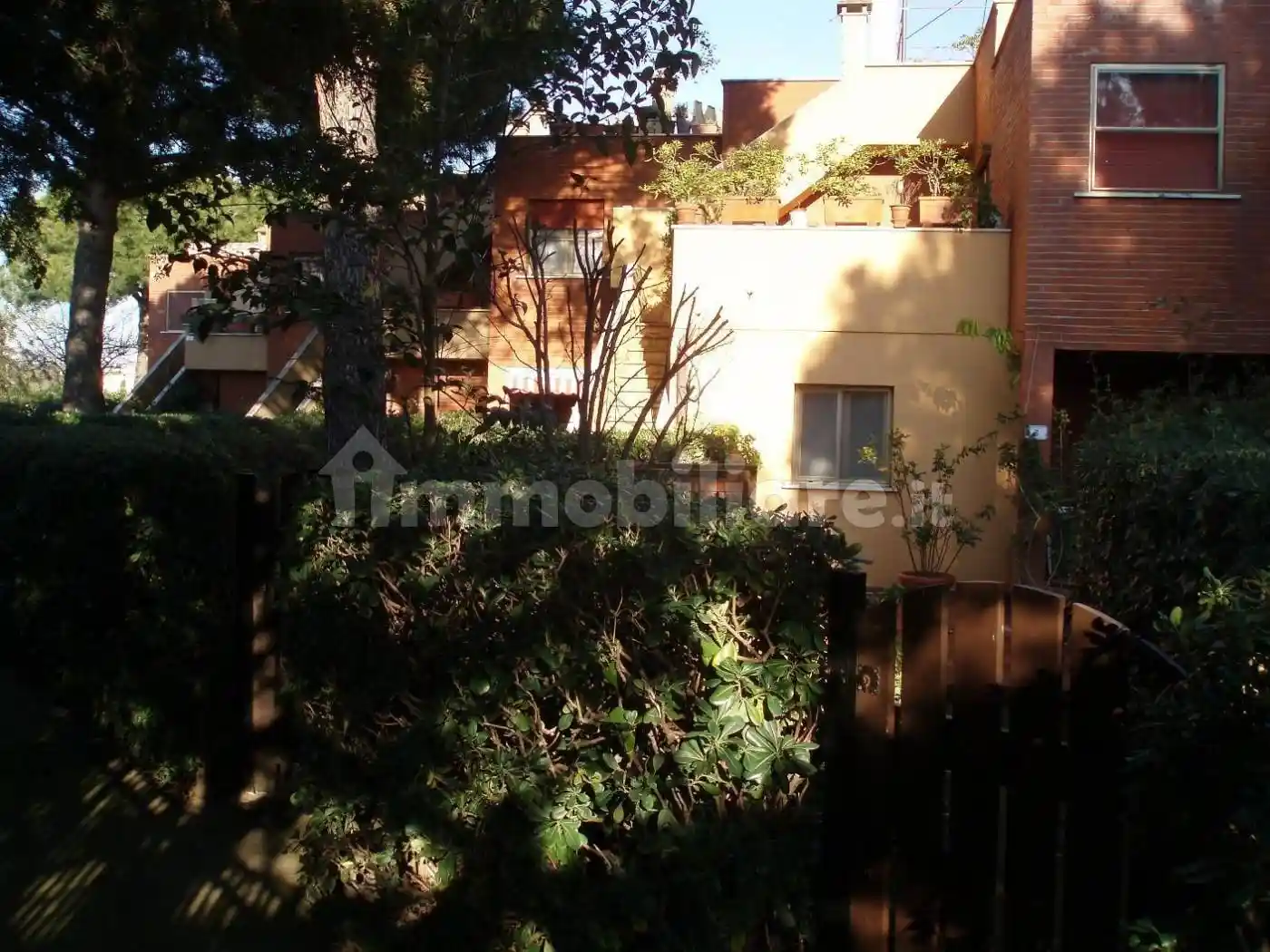 Villetta a schiera in affitto a Capalbio