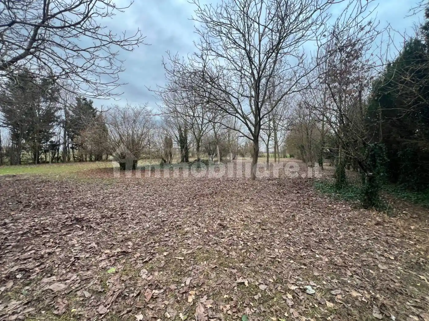 Villa in vendita a Luzzara