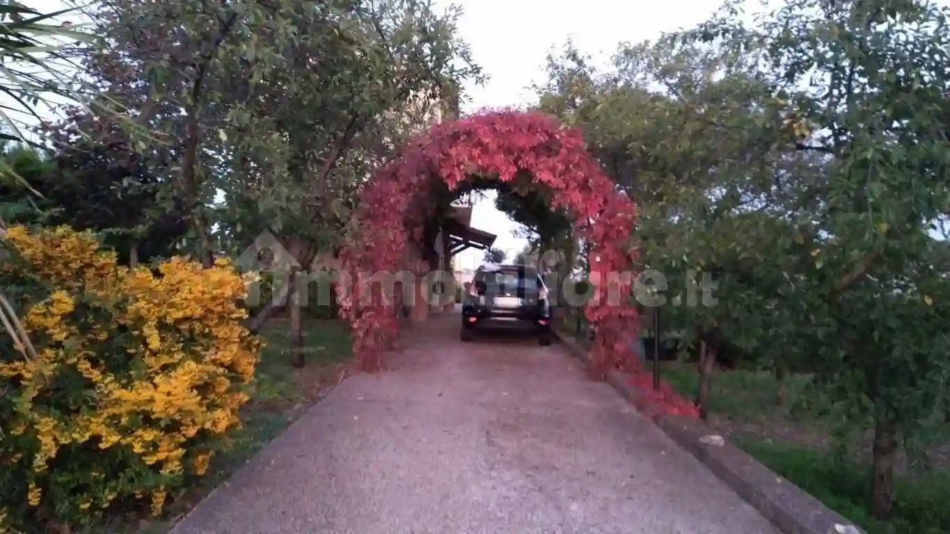 Casa indipendente - foto 3