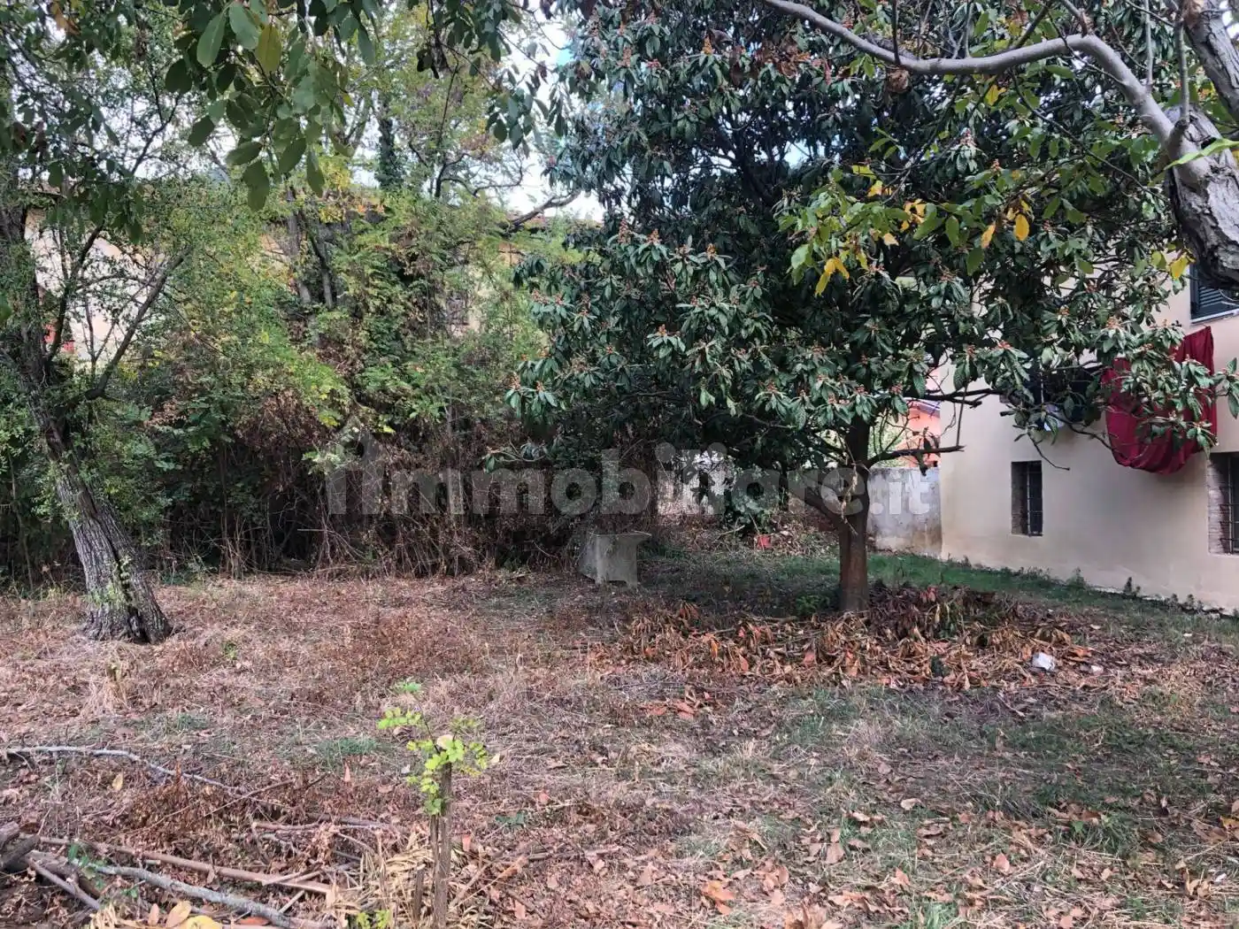 Casa indipendente in vendita a Calci