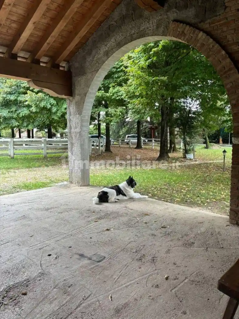 Villa in vendita a Loreggia