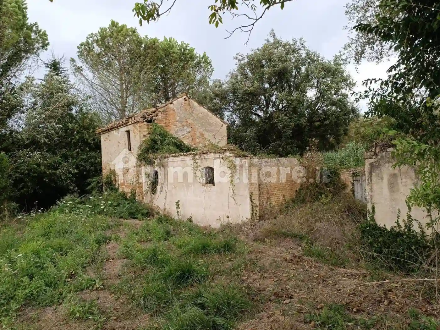 Rustico - Casale - foto 3