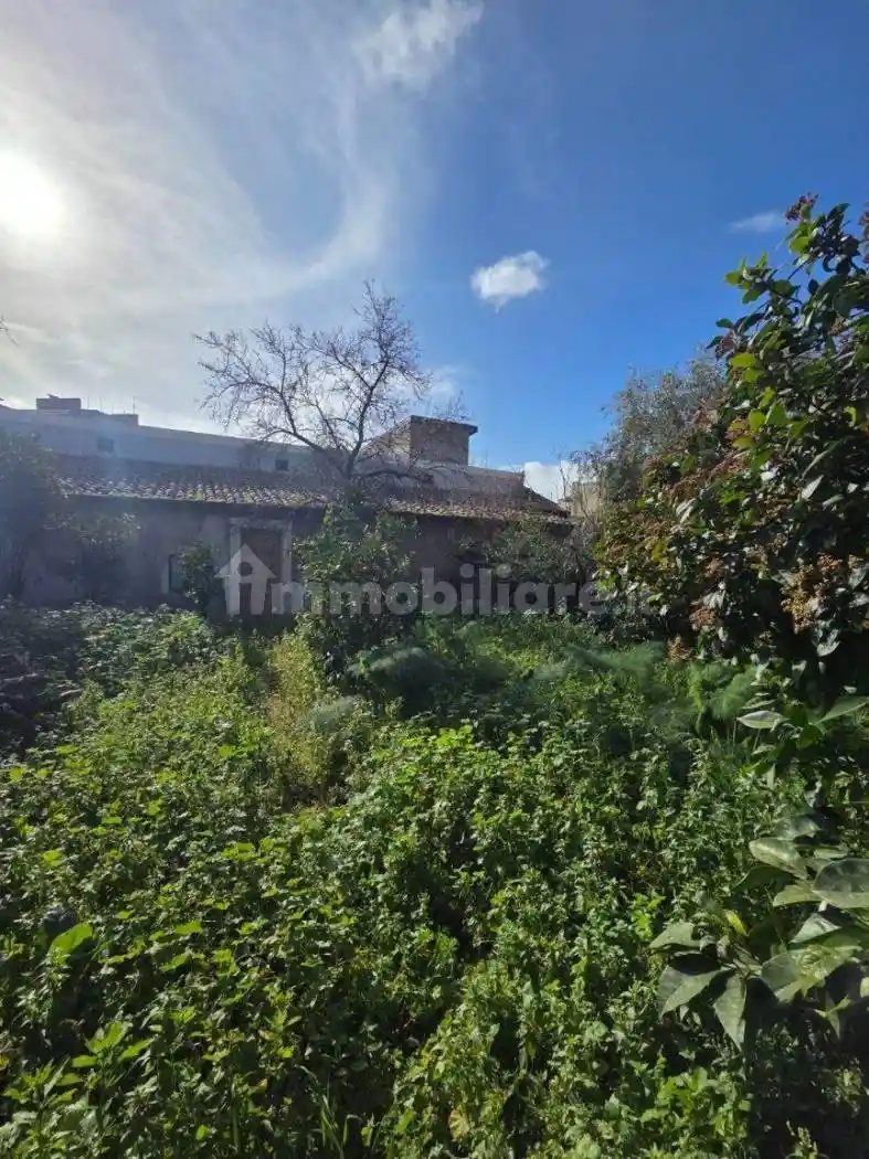 Rustico - Casale in vendita a Santa Maria di Licodia