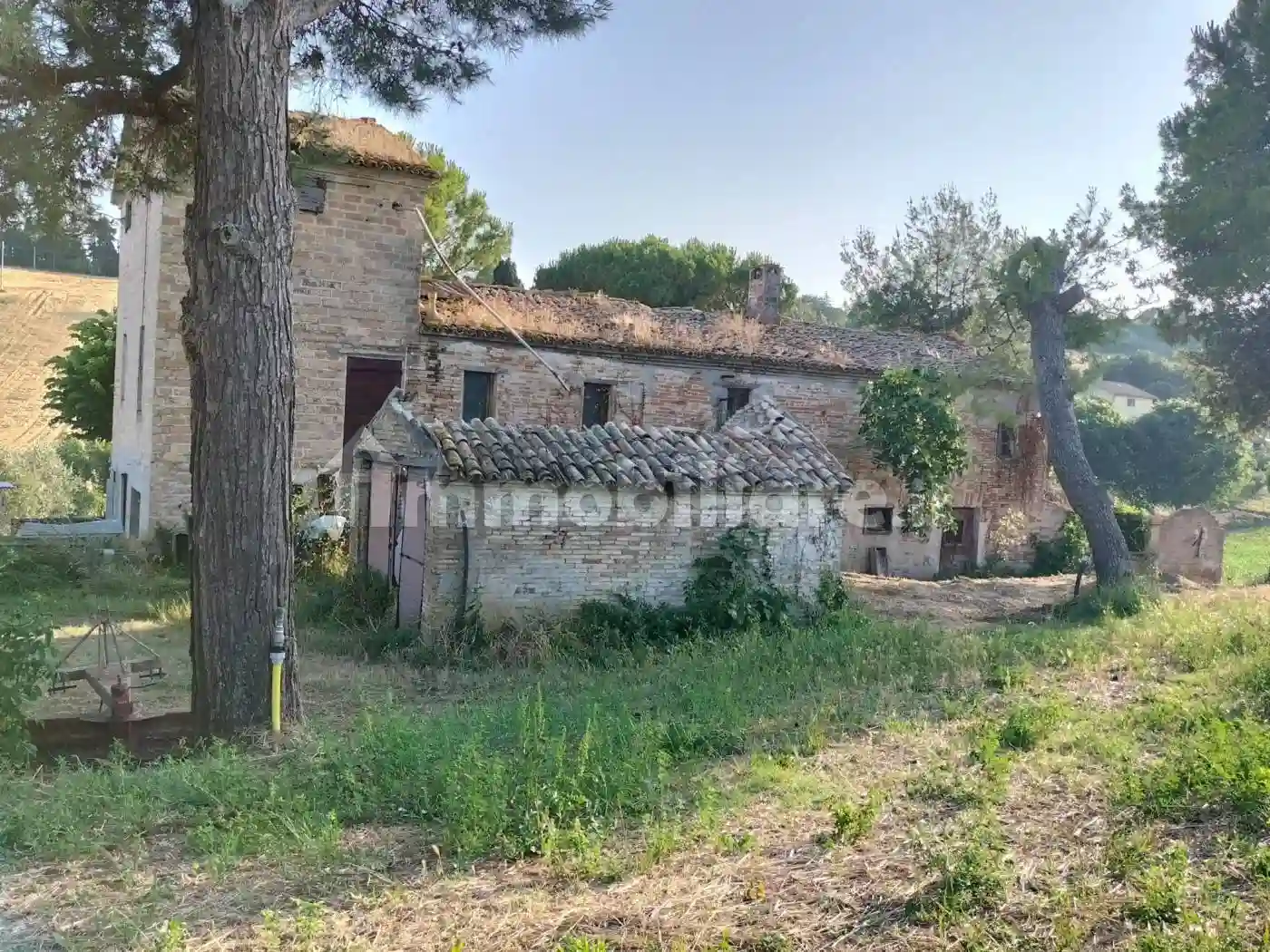 Rustico - Casale - foto 4