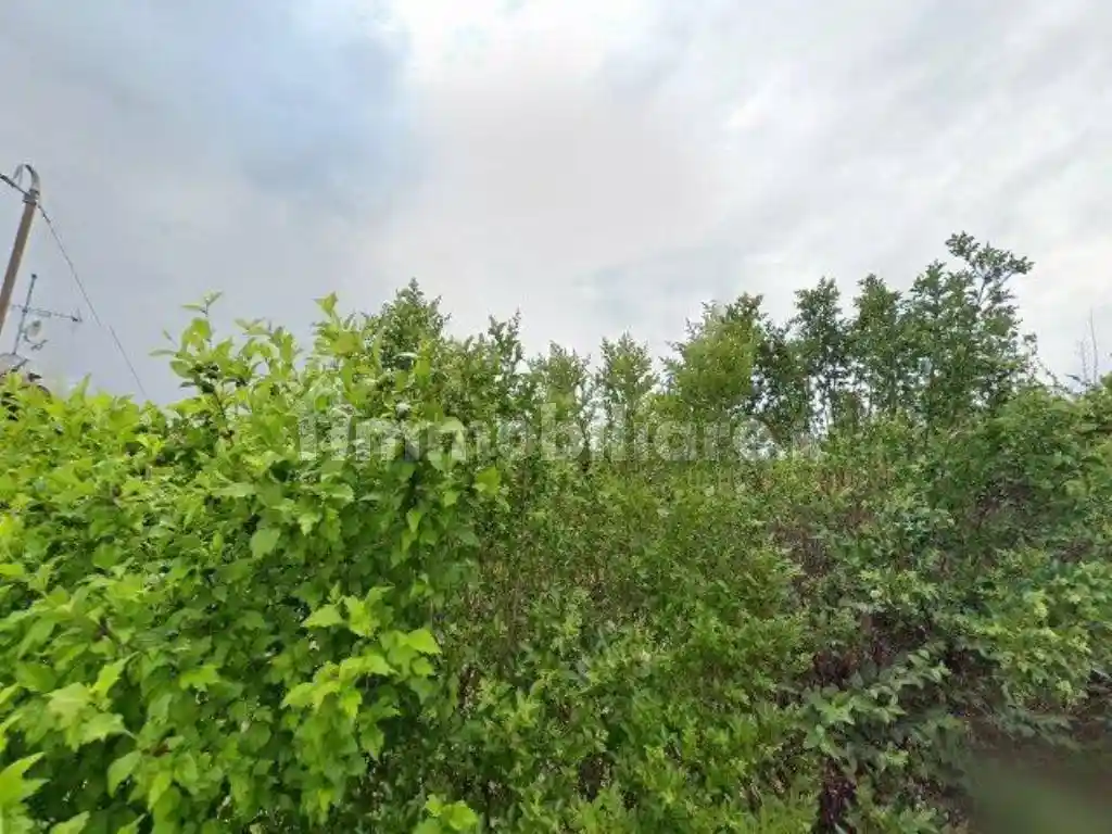 Villa in vendita a Moncalieri