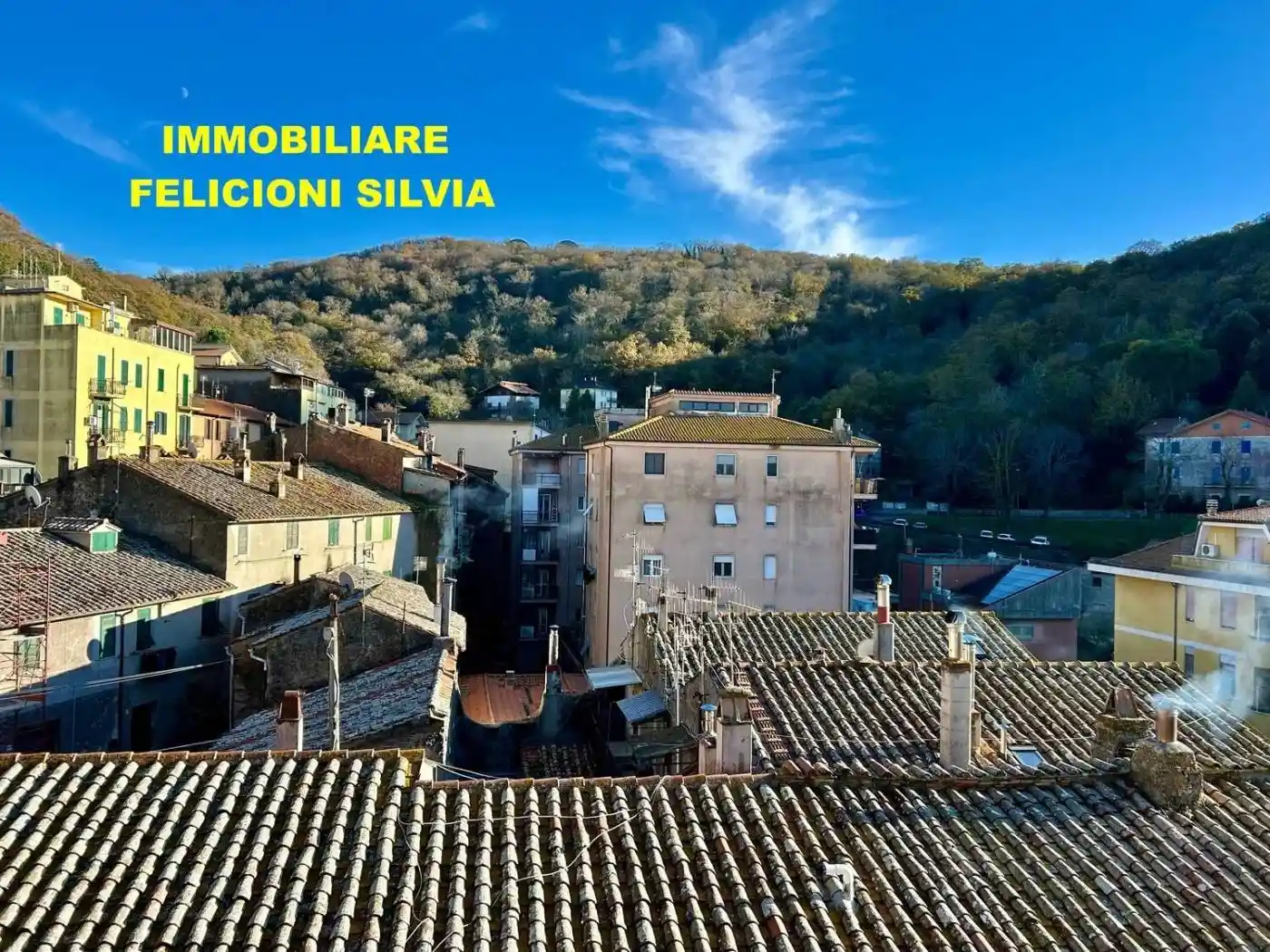 Appartamento in vendita a Allumiere