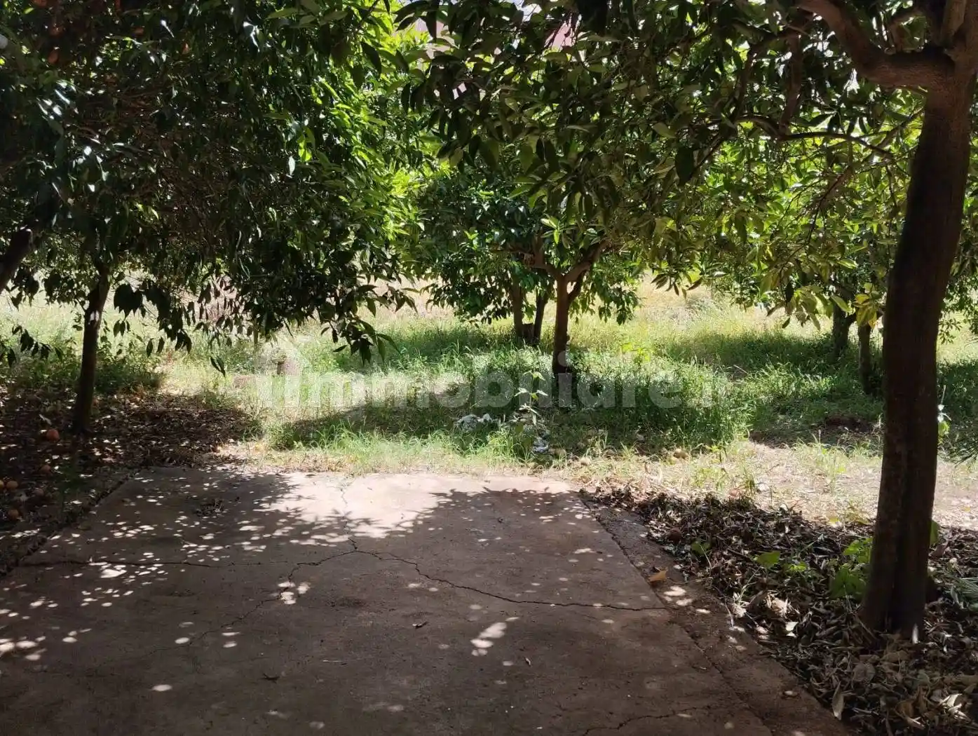 Appartamento in affitto a Capaci