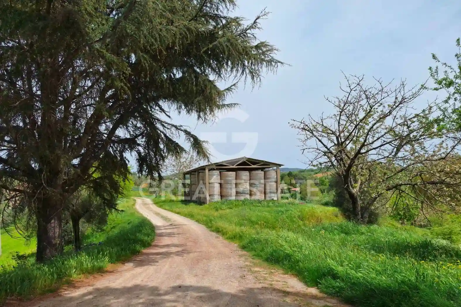 Rustico - Casale - foto 5