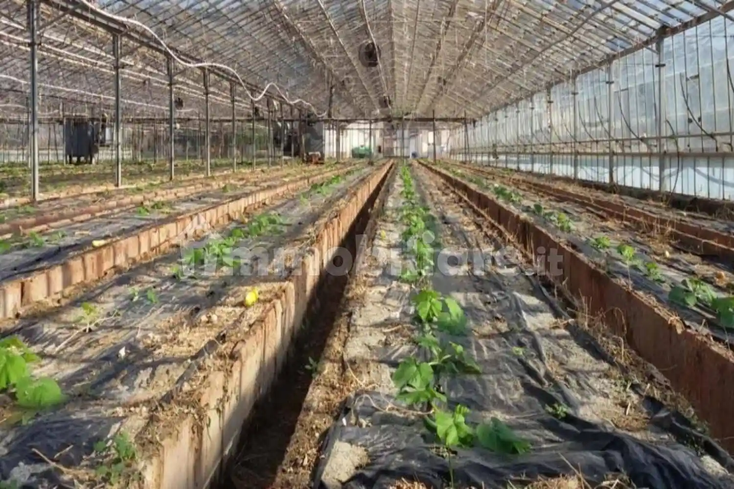 Appartamento in vendita a Palizzi