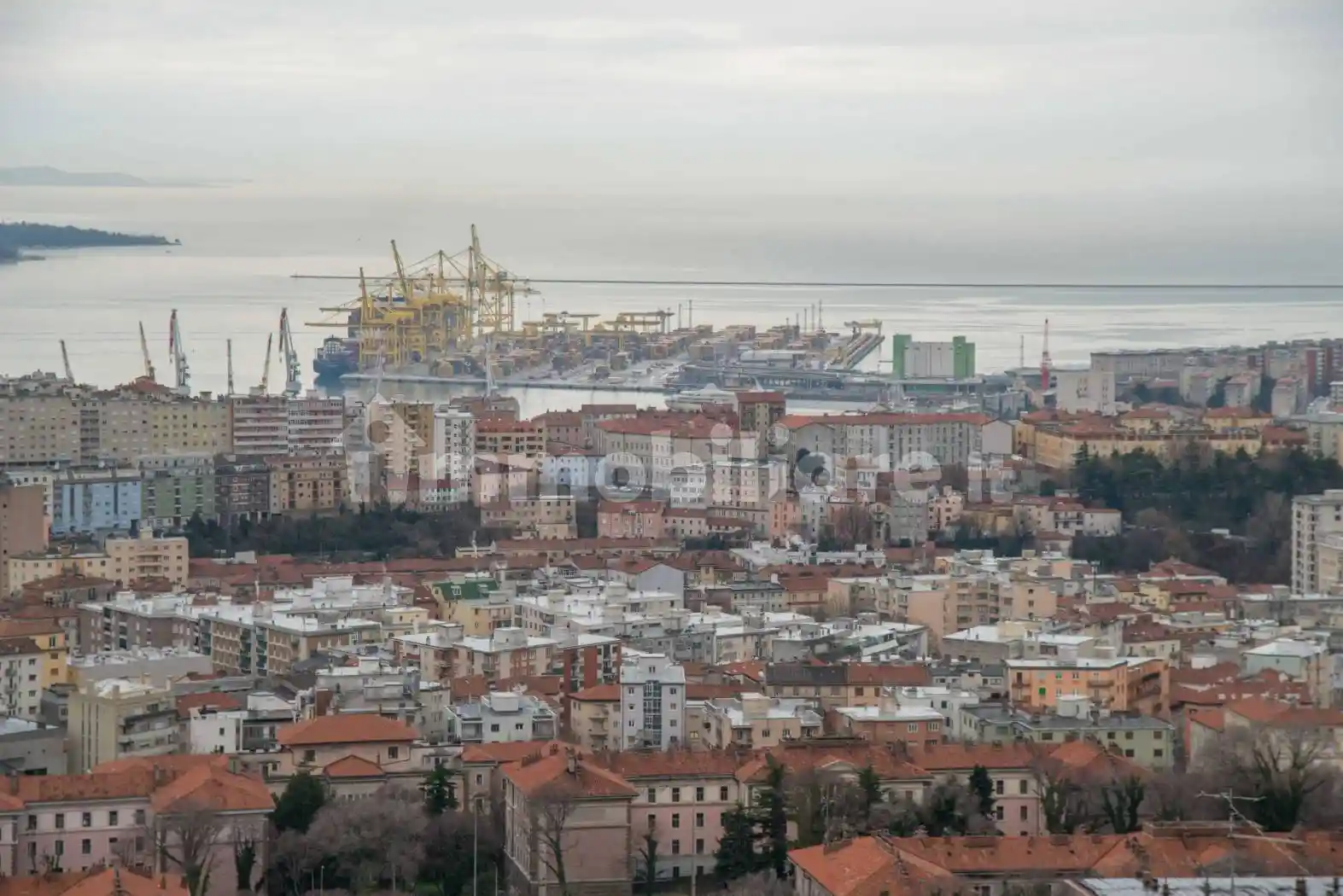 Appartamento in affitto a Trieste