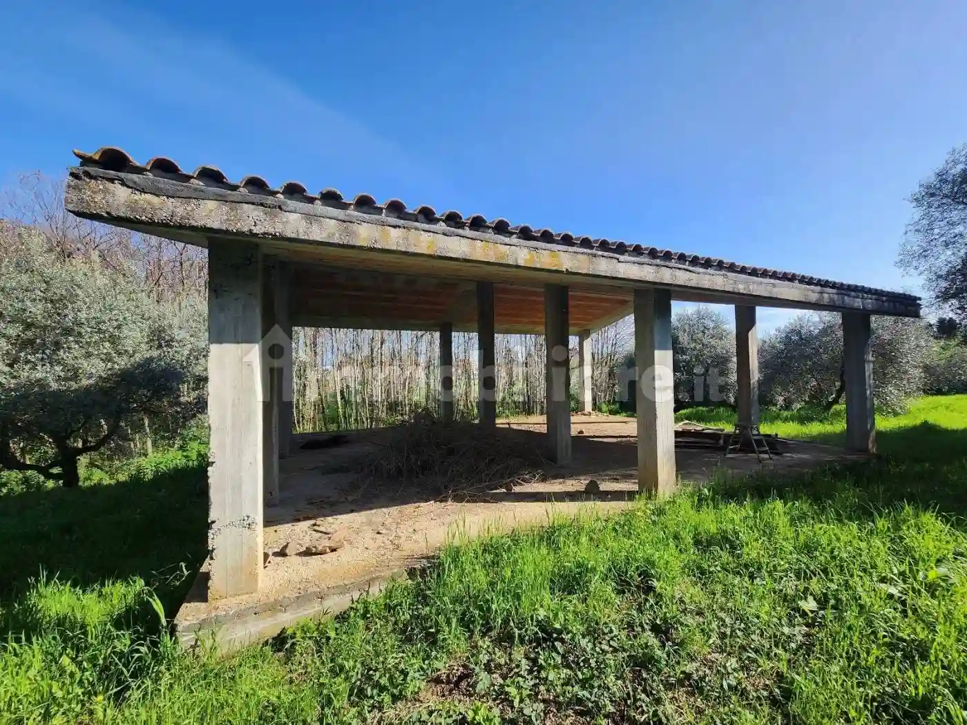 Rustico - Casale - foto 3