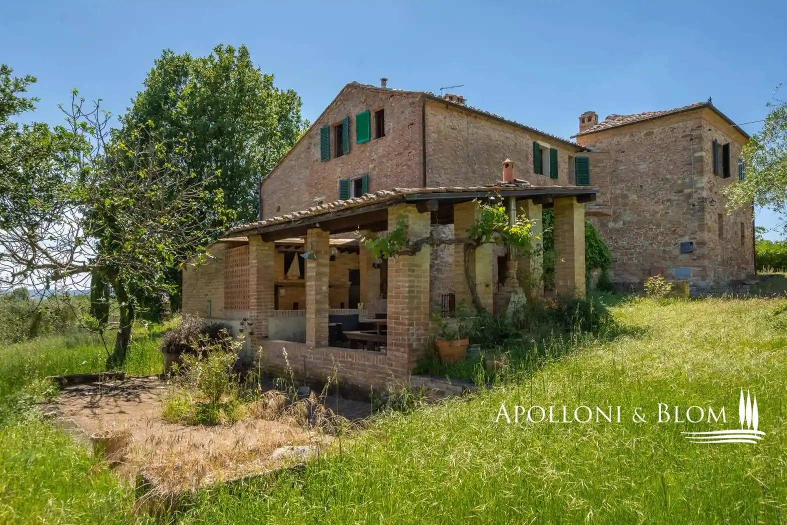 Rustico - Casale in vendita a Asciano