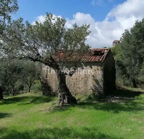 Rustico - Casale in vendita a Casal Velino