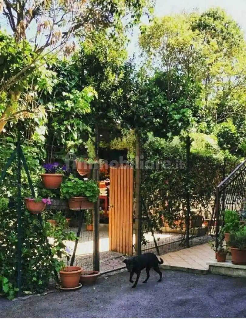 Appartamento in vendita a Grottaferrata