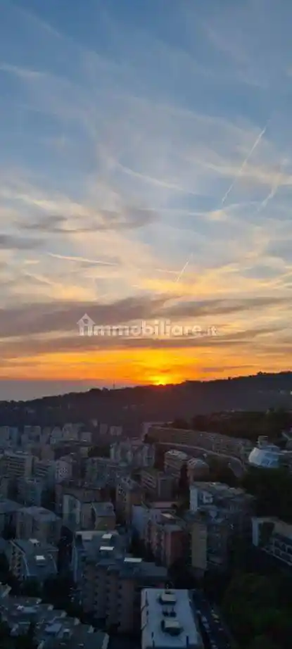 Loft in affitto a Genova