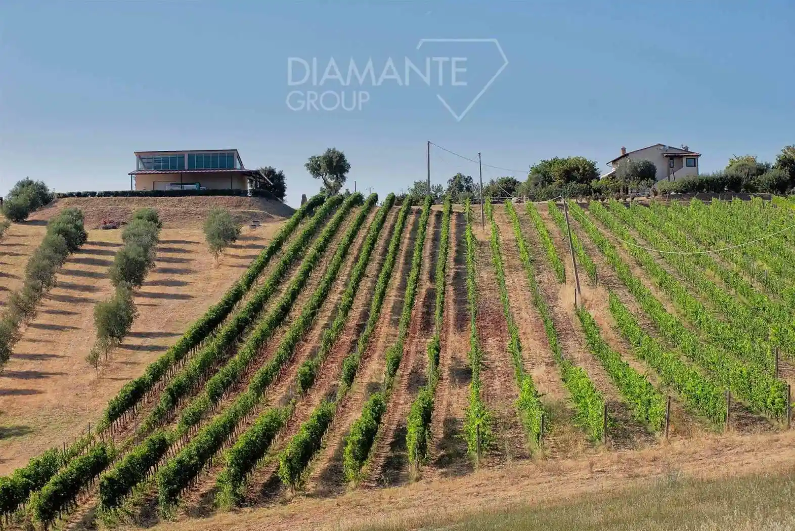 Rustico - Casale in vendita a Massa Marittima