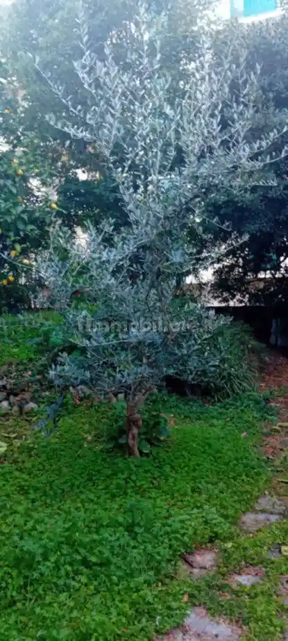 Villa in affitto a Noli