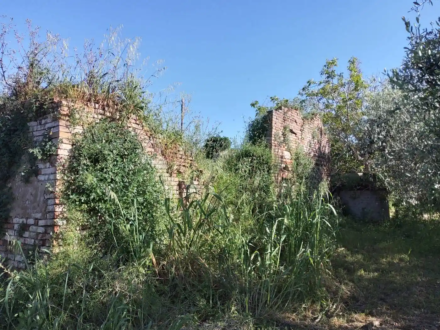 Rustico - Casale in vendita a Santarcangelo di Romagna