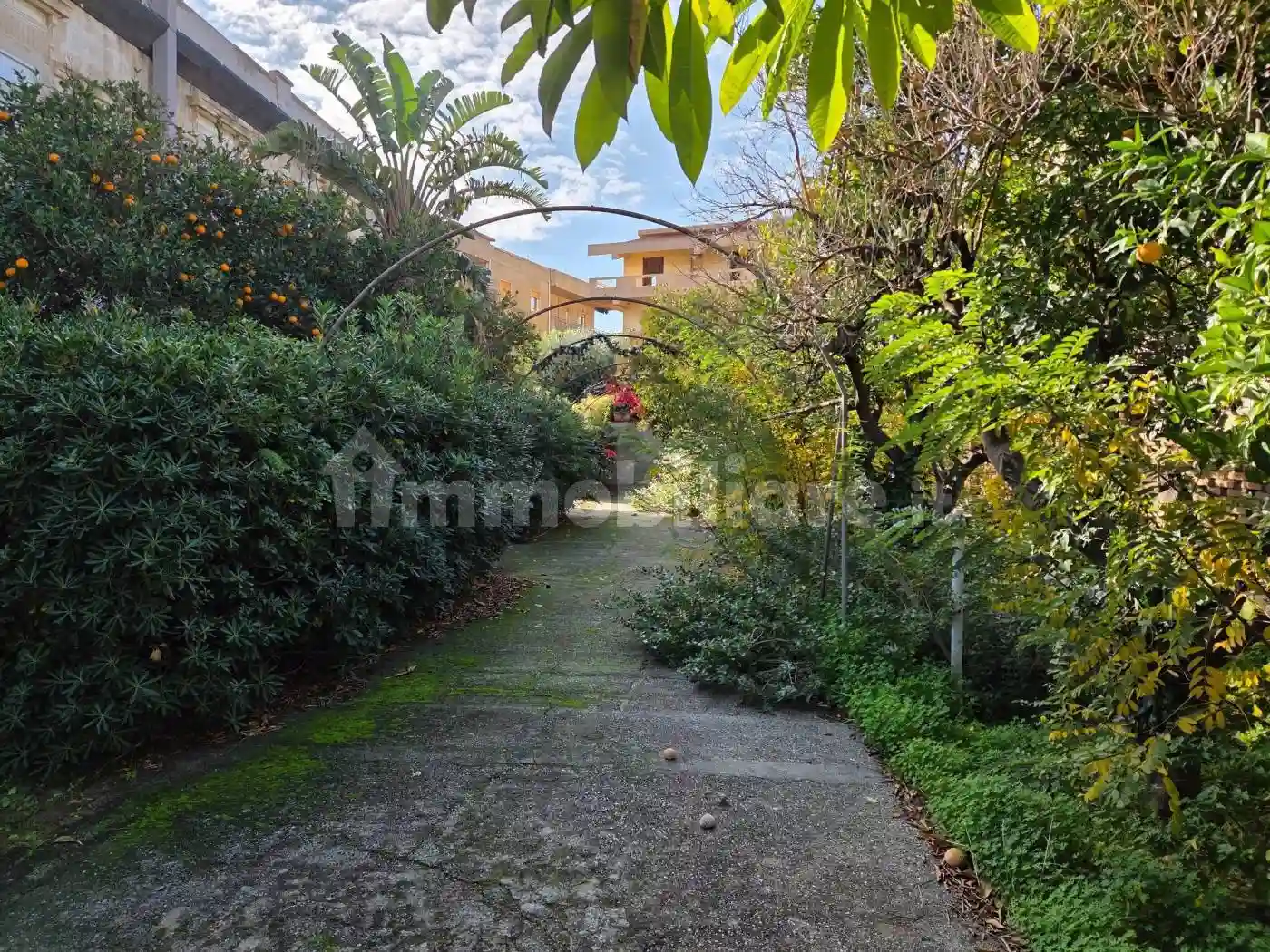 Palazzo - Edificio - foto 5