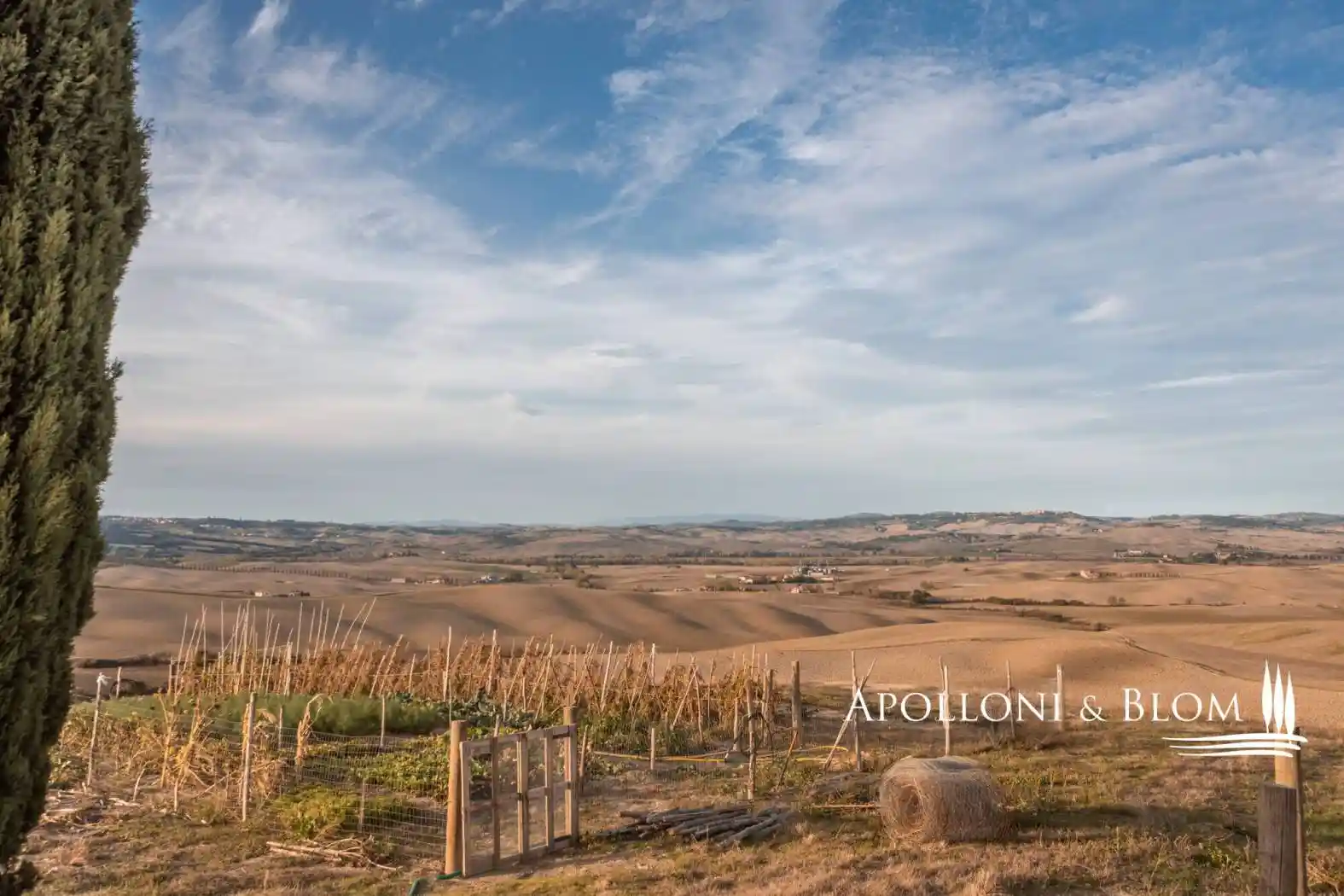 Rustico - Casale in vendita a Gavorrano