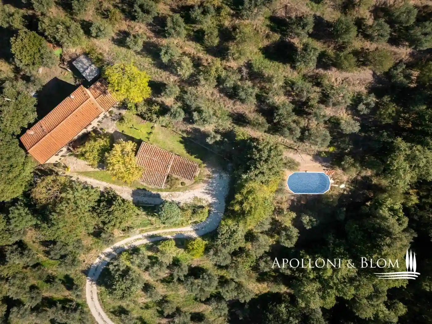 Rustico - Casale - foto 5