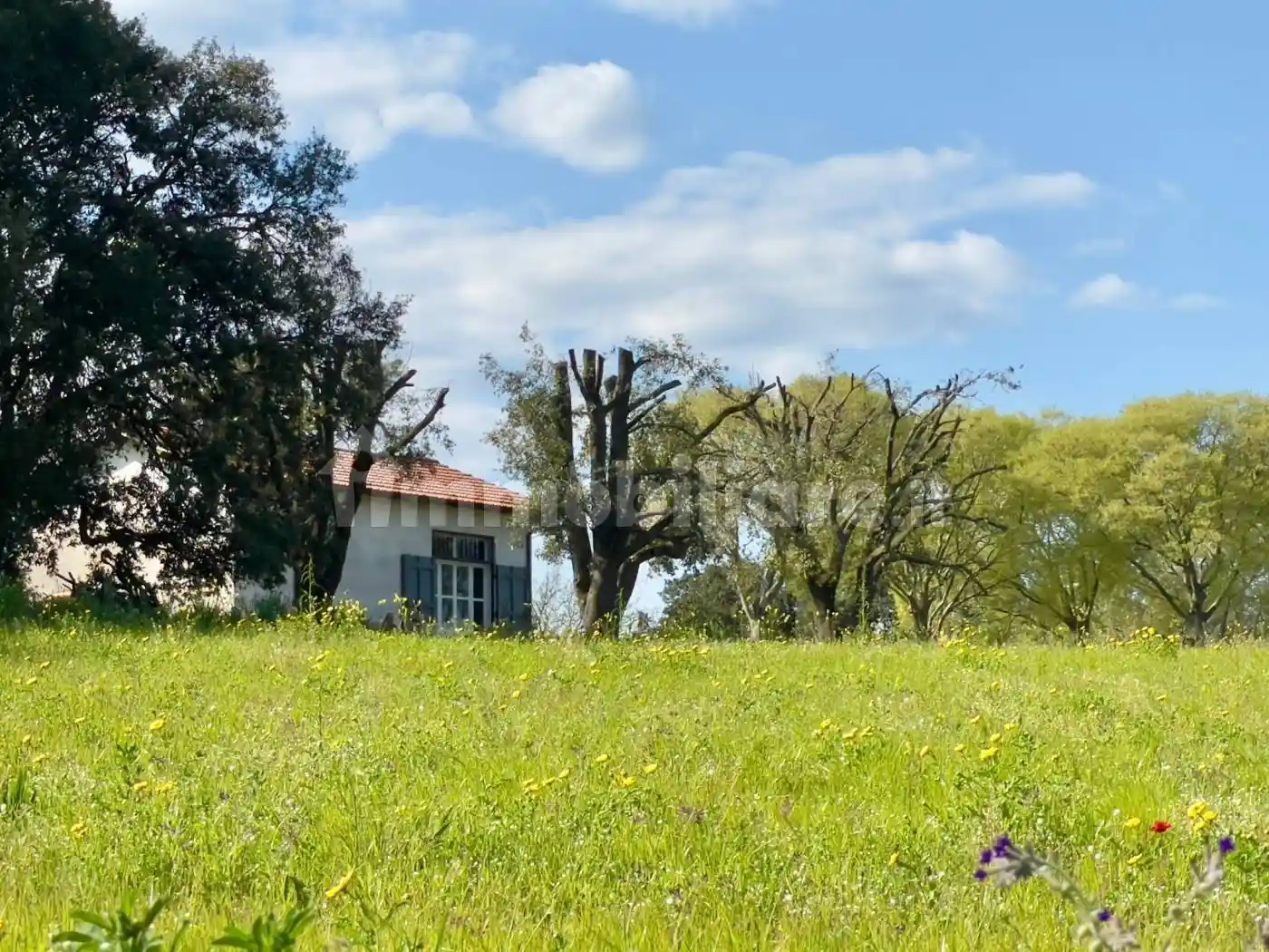 Casa indipendente in vendita a Viterbo