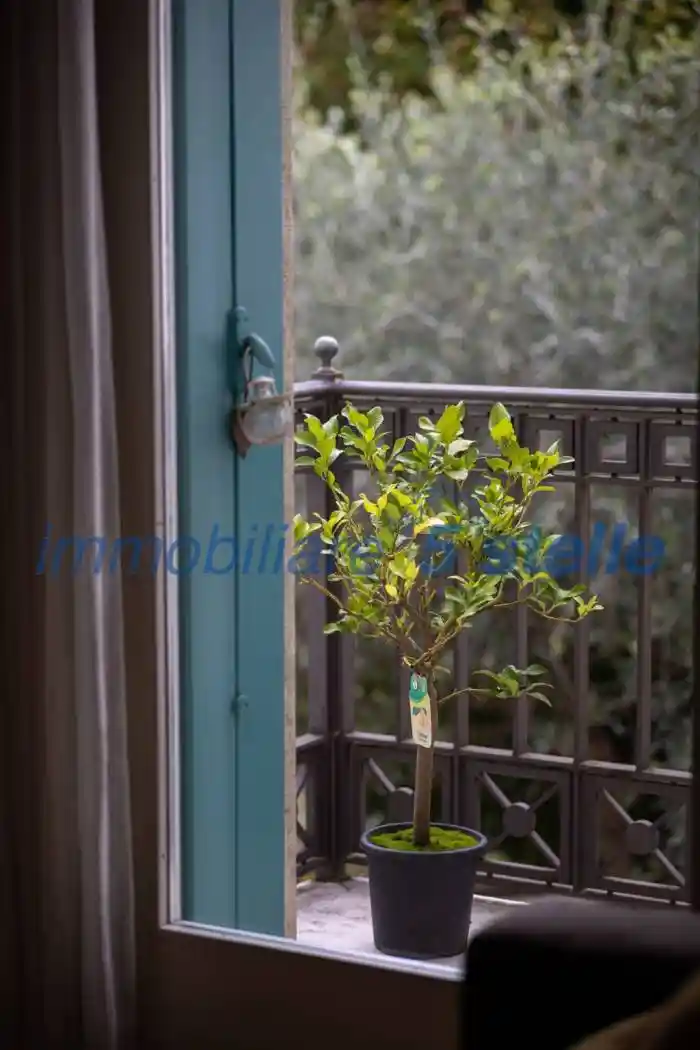 Appartamento in affitto a Vicenza