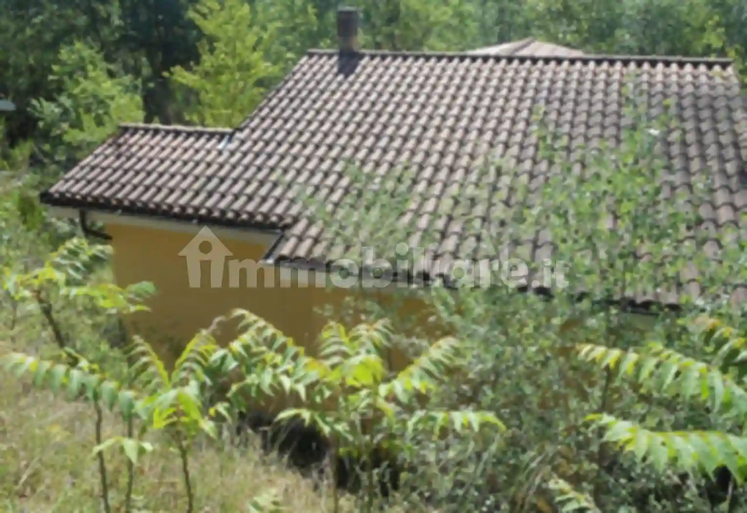 Palazzo - Stabile - foto 2