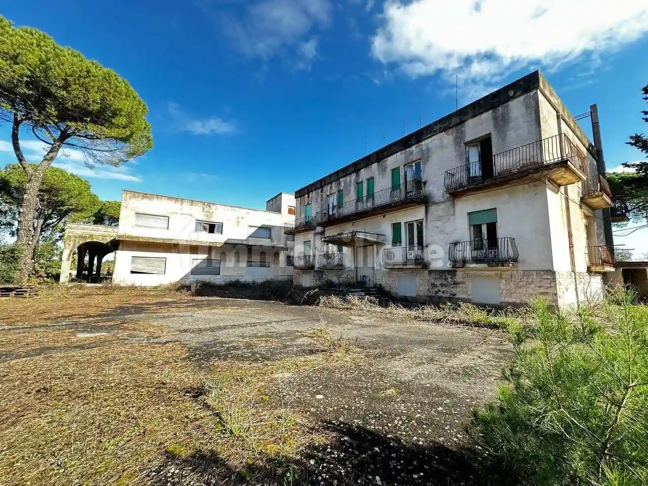 Palazzo - Edificio - foto 4