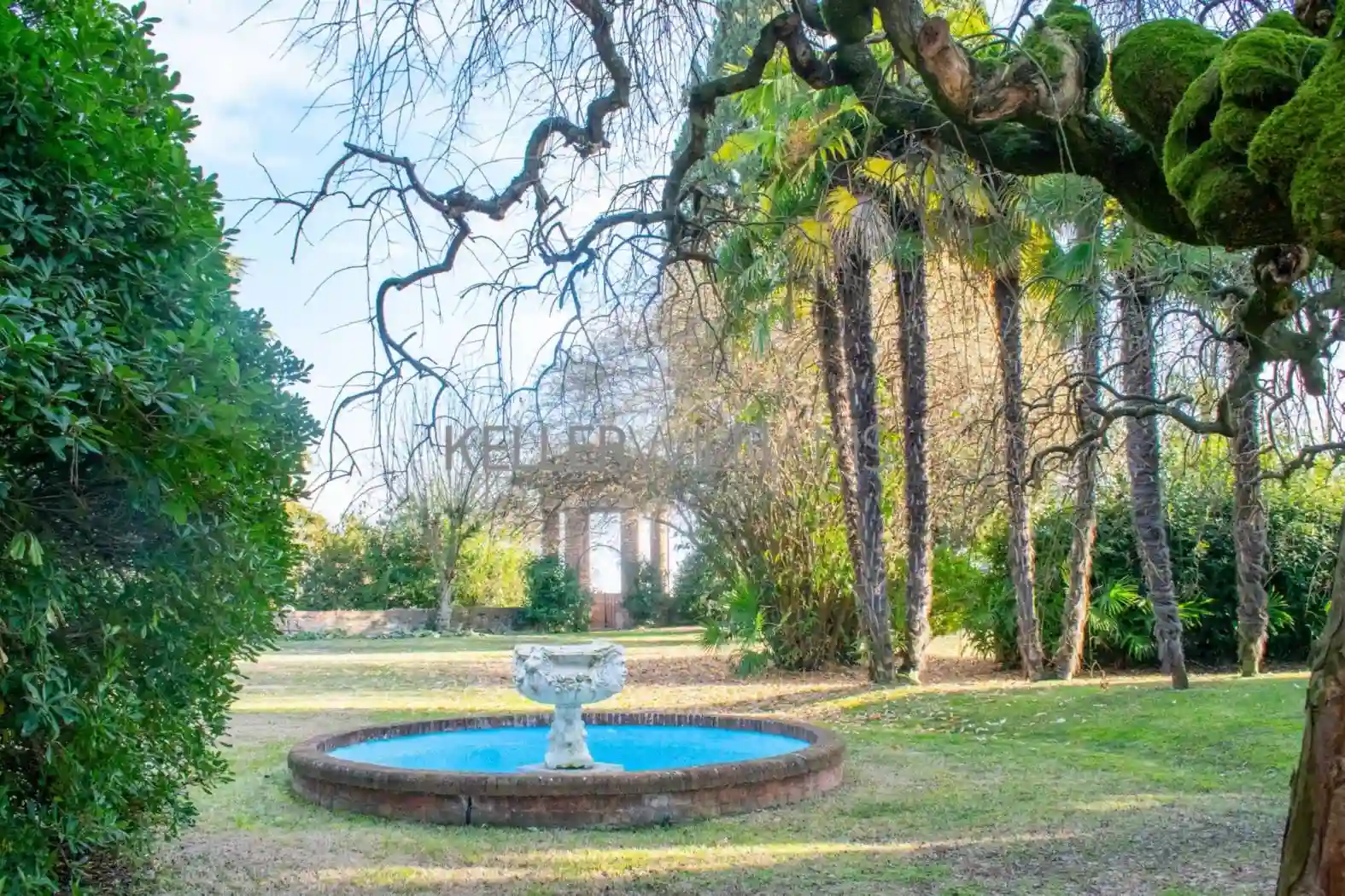 Palazzo - Edificio - foto 4