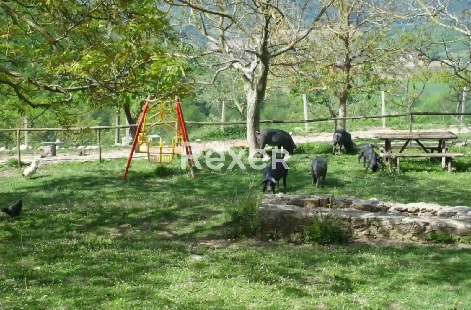 Rustico - Casale - foto 4