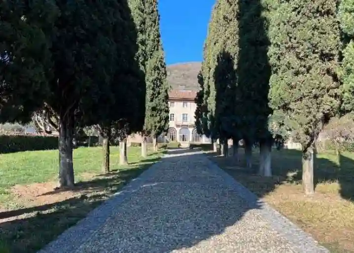 Palazzo - Edificio - foto 4