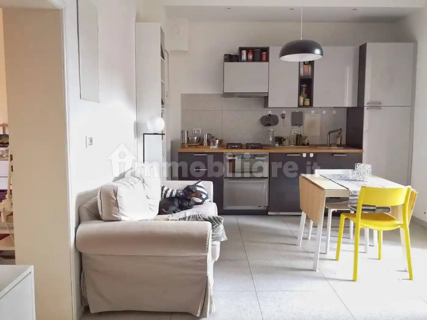 Appartamento in affitto a Bologna