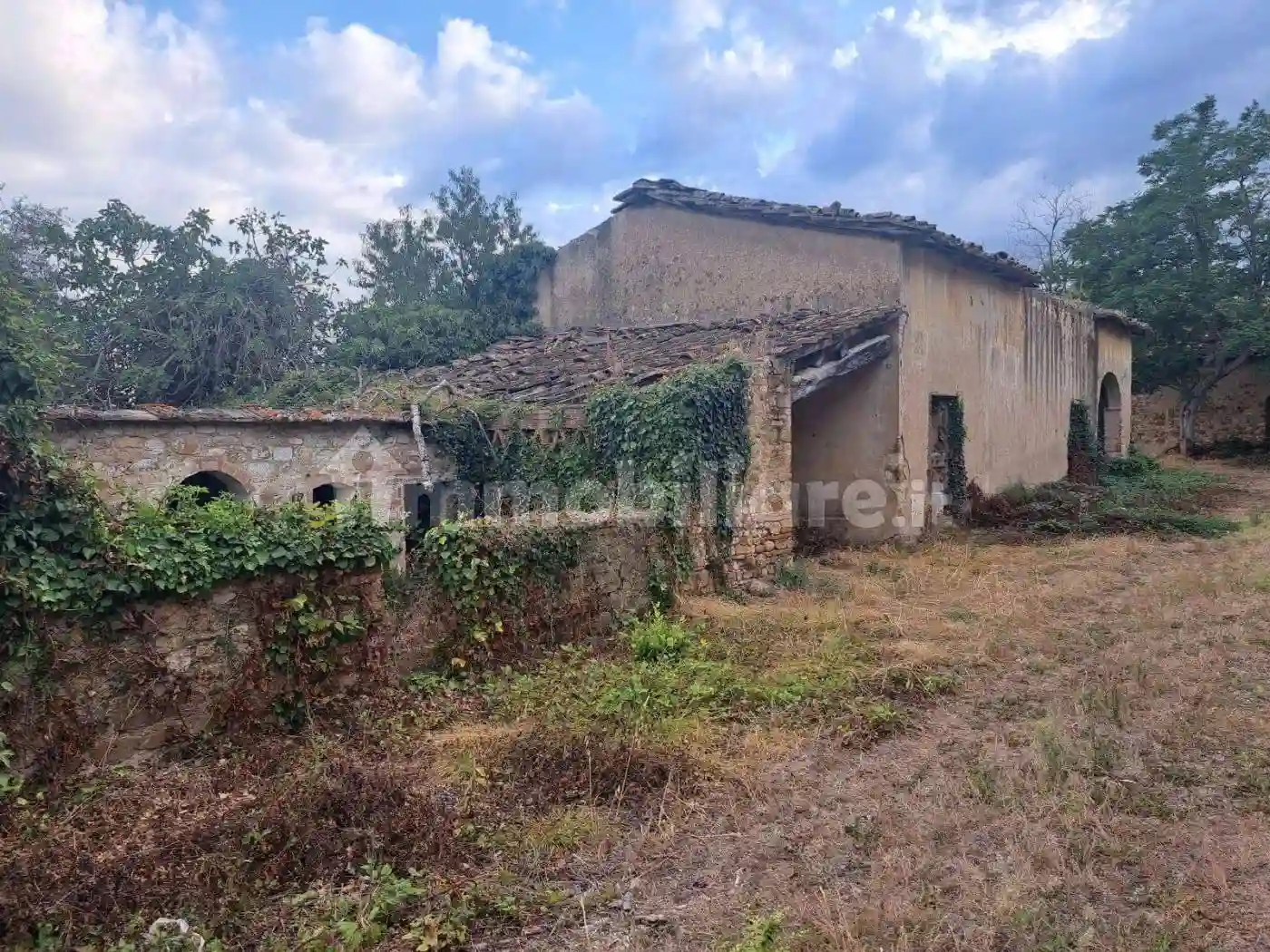 Rustico - Casale - foto 4