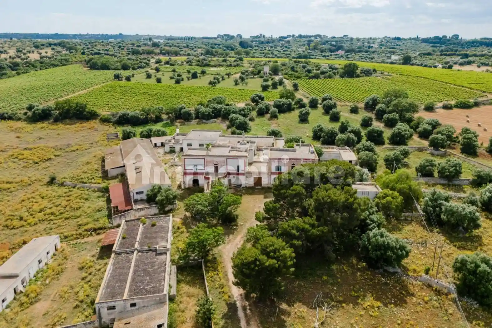 Rustico - Casale in vendita a Monopoli