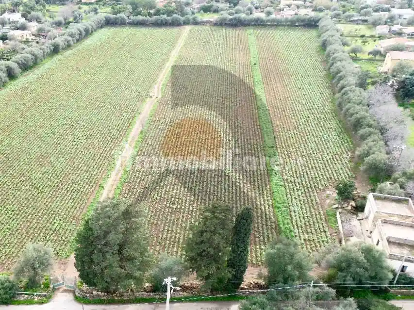 Rustico - Casale in vendita a Augusta