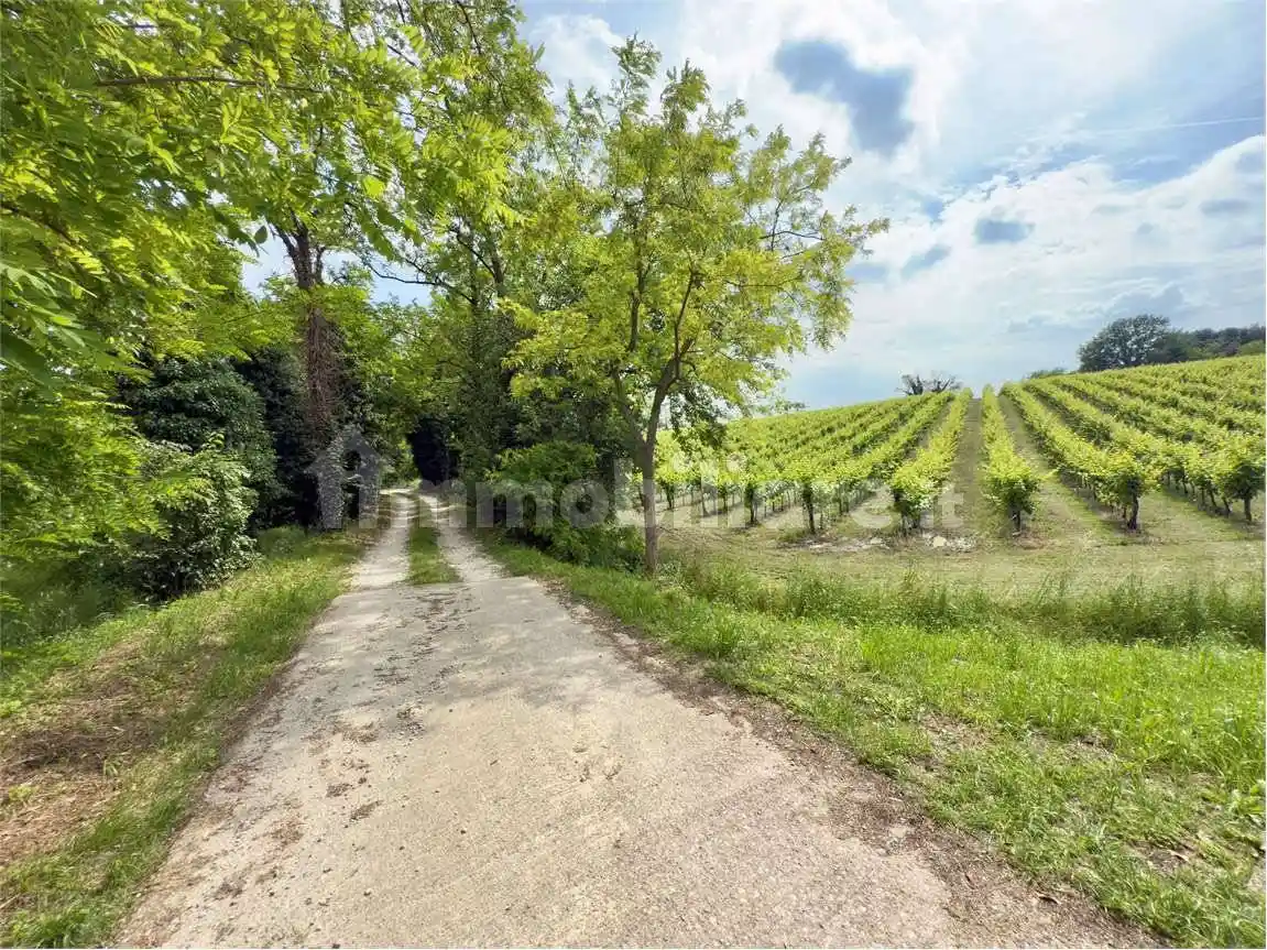 Rustico - Casale in vendita a Cordignano