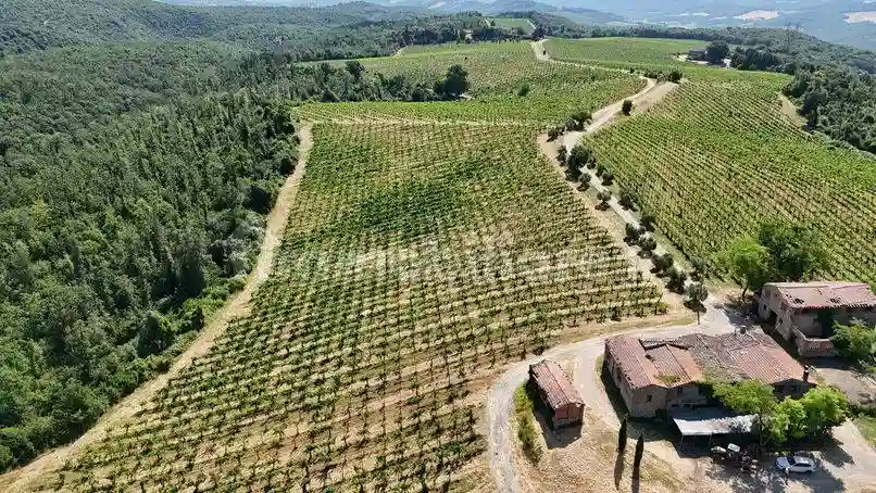 Rustico - Casale - foto 5