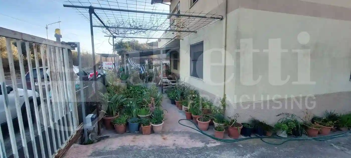 Palazzo - Edificio - foto 2