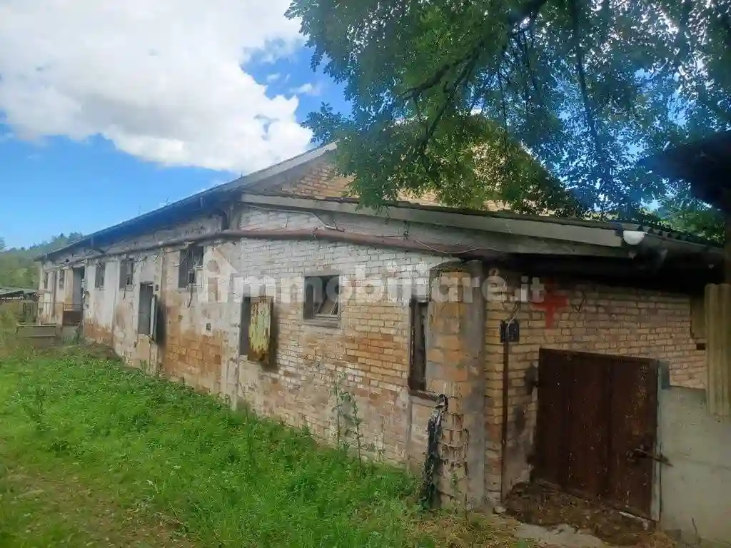 Palazzo - Stabile - foto 3