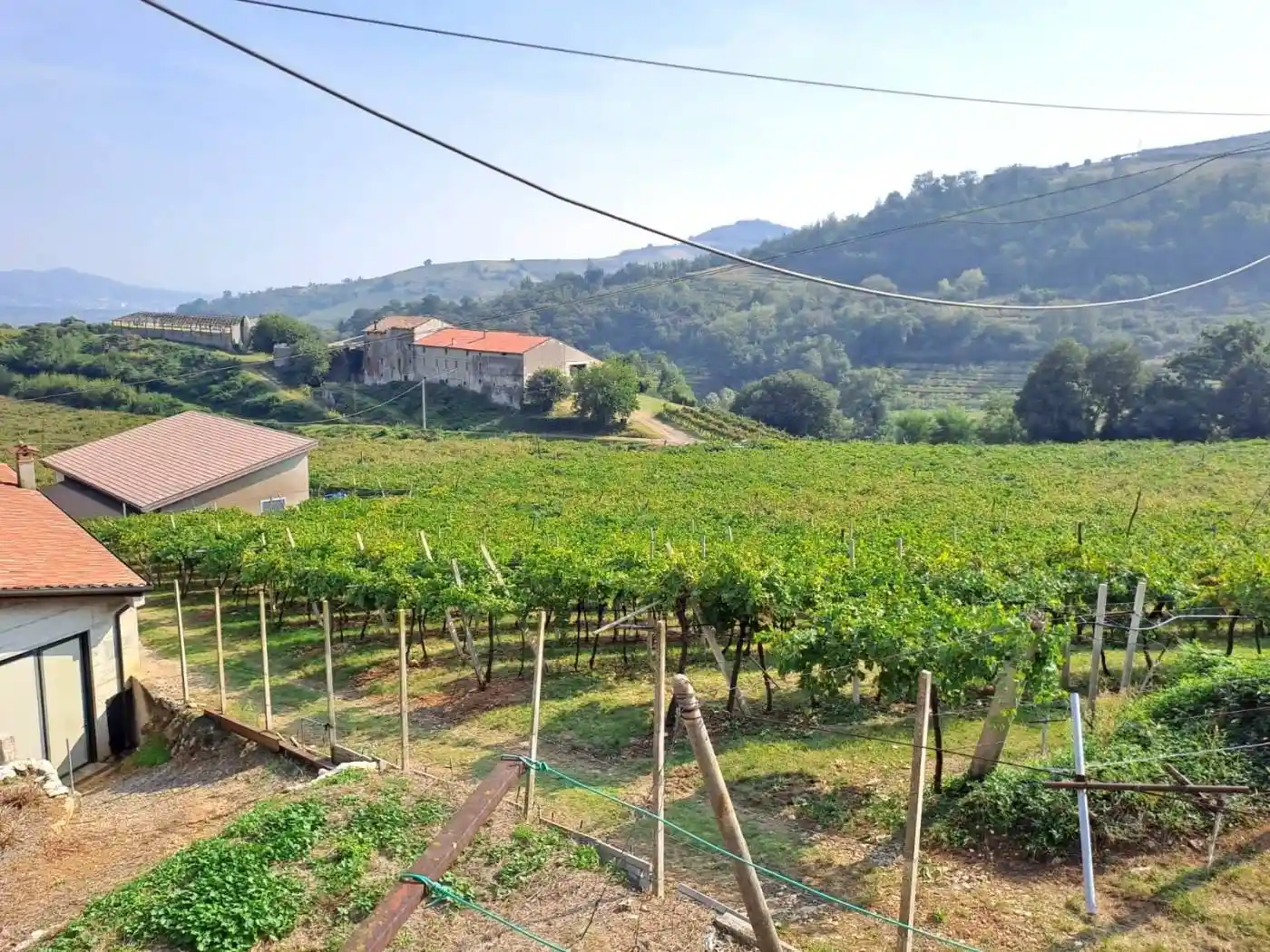 Villa in vendita a Soave