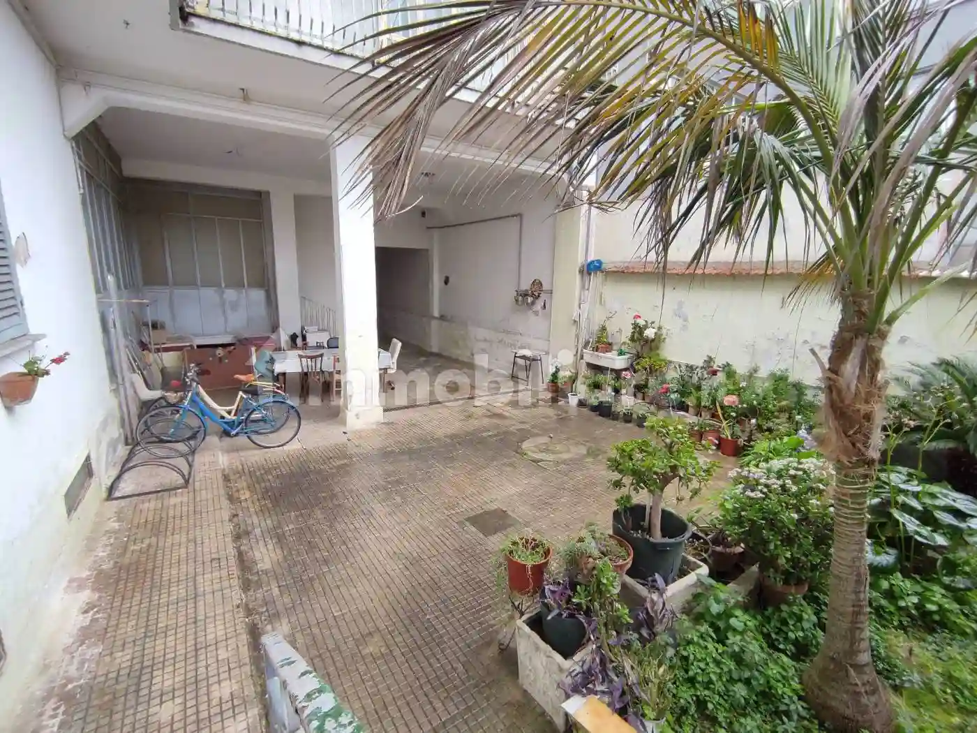 Palazzo - Edificio - foto 4