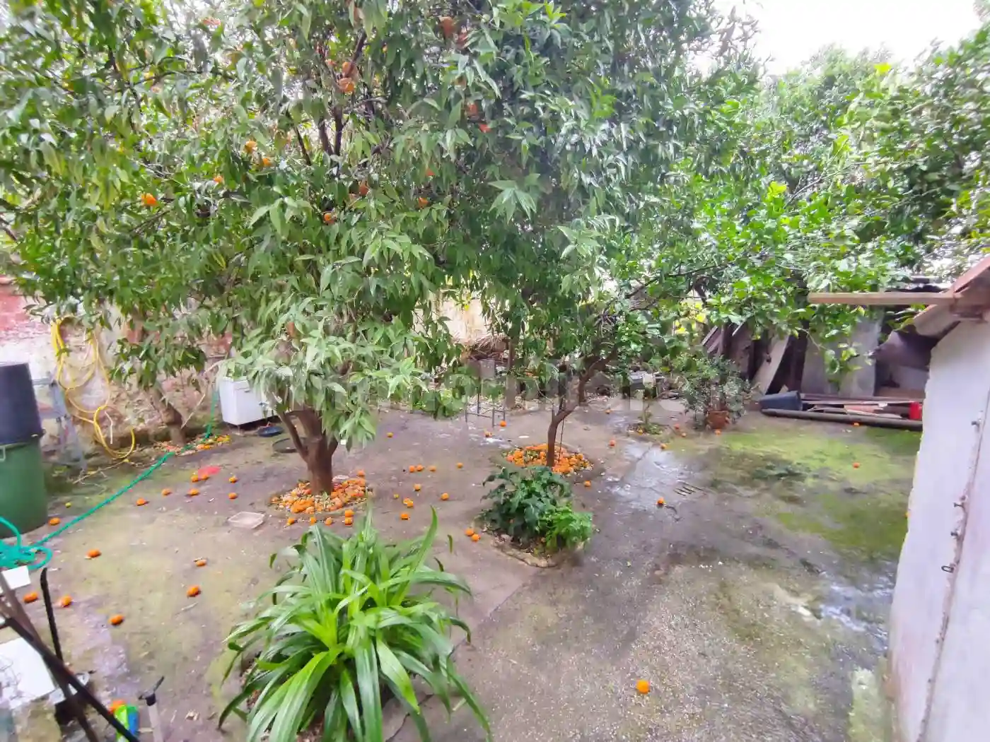 Palazzo - Edificio - foto 5